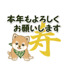 よちよち豆柴兄弟 年末年始＆招福の言葉（個別スタンプ：21）