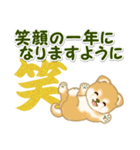 よちよち豆柴兄弟 年末年始＆招福の言葉（個別スタンプ：24）
