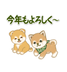 よちよち豆柴兄弟 年末年始＆招福の言葉（個別スタンプ：31）