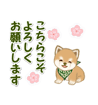 よちよち豆柴兄弟 年末年始＆招福の言葉（個別スタンプ：34）