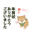 よちよち豆柴兄弟 年末年始＆招福の言葉（個別スタンプ：35）