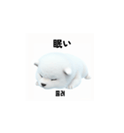 サモエド犬 30L（個別スタンプ：5）