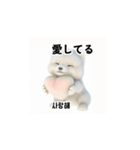 サモエド犬 30L（個別スタンプ：6）