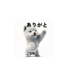 サモエド犬 30L（個別スタンプ：21）