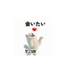 サモエド犬 30L（個別スタンプ：35）