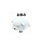 サモエド犬 30L（個別スタンプ：39）