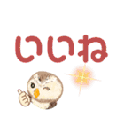 ふわふわフクロウのデカ文字☆（個別スタンプ：21）