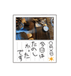 昭和の思い出 自然の生活（個別スタンプ：5）