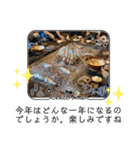 昭和の思い出 自然の生活（個別スタンプ：11）