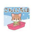 飛び出す♪チワワたちの冬の日常スタンプ（個別スタンプ：2）