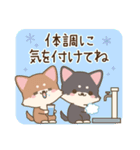 飛び出す♪チワワたちの冬の日常スタンプ（個別スタンプ：18）