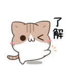 毎日五月病なねこたち13（個別スタンプ：3）