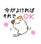 毎日五月病なねこたち13（個別スタンプ：10）