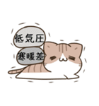 毎日五月病なねこたち13（個別スタンプ：13）