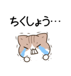 毎日五月病なねこたち13（個別スタンプ：17）