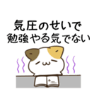 毎日五月病なねこたち13（個別スタンプ：26）
