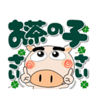 毎日、ブタさん 冬 ポップでカラフル（個別スタンプ：3）