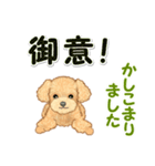 可愛いトイプードルの男の子 基本スタンプ（個別スタンプ：5）