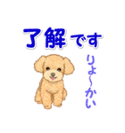 可愛いトイプードルの男の子 基本スタンプ（個別スタンプ：6）