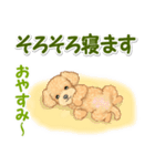 可愛いトイプードルの男の子 基本スタンプ（個別スタンプ：37）