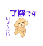 可愛いトイプードルの女の子 基本スタンプ（個別スタンプ：5）