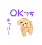 可愛いトイプードルの女の子 基本スタンプ（個別スタンプ：6）