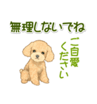 可愛いトイプードルの女の子 基本スタンプ（個別スタンプ：11）