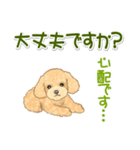 可愛いトイプードルの女の子 基本スタンプ（個別スタンプ：15）