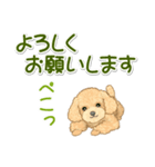 可愛いトイプードルの女の子 基本スタンプ（個別スタンプ：18）
