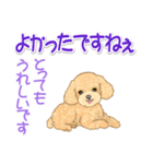可愛いトイプードルの女の子 基本スタンプ（個別スタンプ：19）