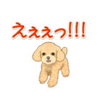 可愛いトイプードルの女の子 基本スタンプ（個別スタンプ：23）