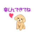 可愛いトイプードルの女の子 基本スタンプ（個別スタンプ：25）