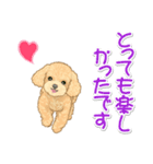 可愛いトイプードルの女の子 基本スタンプ（個別スタンプ：26）
