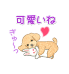 可愛いトイプードルの女の子 基本スタンプ（個別スタンプ：27）