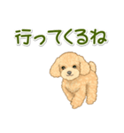 可愛いトイプードルの女の子 基本スタンプ（個別スタンプ：33）