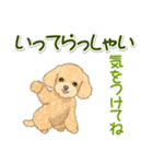 可愛いトイプードルの女の子 基本スタンプ（個別スタンプ：34）