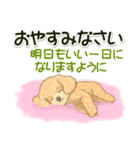 可愛いトイプードルの女の子 基本スタンプ（個別スタンプ：39）