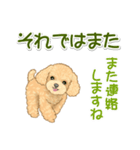 可愛いトイプードルの女の子 基本スタンプ（個別スタンプ：40）