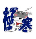 黒柴（くろしば） 冬 ポップでカラフル（個別スタンプ：3）