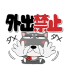 黒柴（くろしば） 冬 ポップでカラフル（個別スタンプ：4）