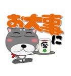 黒柴（くろしば） 冬 ポップでカラフル（個別スタンプ：8）