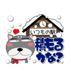 黒柴（くろしば） 冬 ポップでカラフル（個別スタンプ：13）