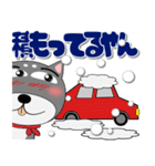 黒柴（くろしば） 冬 ポップでカラフル（個別スタンプ：14）