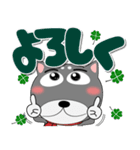 黒柴（くろしば） 冬 ポップでカラフル（個別スタンプ：22）