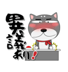黒柴（くろしば） 冬 ポップでカラフル（個別スタンプ：34）