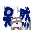 黒柴（くろしば） 冬 ポップでカラフル（個別スタンプ：36）