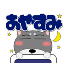 黒柴（くろしば） 冬 ポップでカラフル（個別スタンプ：40）