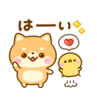 豆柴日和♡まいにち（個別スタンプ：1）