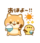 豆柴日和♡まいにち（個別スタンプ：6）
