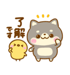 豆柴日和♡まいにち（個別スタンプ：7）